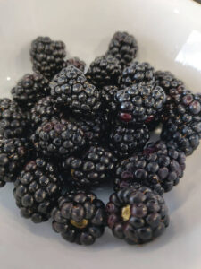 Fruit in Season – Blackberries – TheFarmChicken