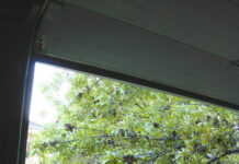 
			
				                                This was the view from inside my garage Monday morning, July 28 at 7 a.m. (Photos by LAO)
 
			
		