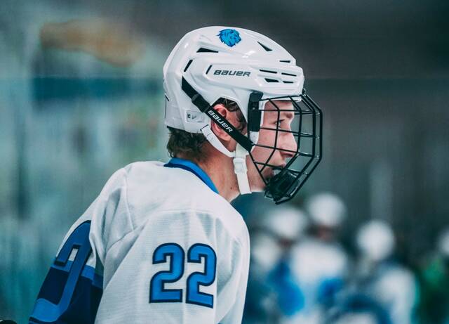 131831938_web1_brett-lesage-lrsc-men-s-hockey-10-4
Brett Lesage (Photo by Noah Clooten)