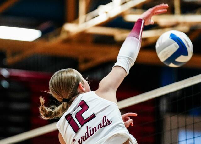 Langdon Area/Munich ends Benson County’s undefeated streak in rematch of region championship