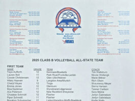 Class B volleyball all-state teams