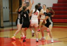 Chargers, Bearcats, Aggies grab seventh, fifth, third in Lake Region Invitational
Nelson County vs. Devils Lake JV (Photo by Mojo Hill)