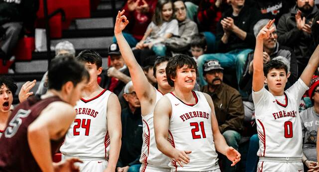 131991009_web1_dl-boys-basketball-2-16
The Devils Lake boys basketball team celebrates a shot from the bench. (Photo by Noah Clooten)