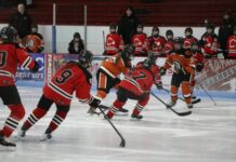 
			
				                                Devils Lake girls hockey faces the Dickinson Mavericks on Saturday, Dec. 20. (Photo by Mojo Hill)
 
			
		