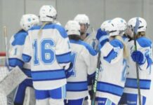 LRSC cancels remainder of women’s hockey season
Journal file photo.