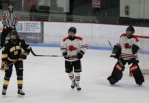 
			
				                                The Devils Lake boys hockey team fell 7-4 to Fargo North on Monday, Jan. 12. (Photo by Mojo Hill)
 
			
		