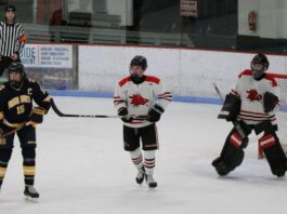 
			
				                                The Devils Lake boys hockey team fell 7-4 to Fargo North on Monday, Jan. 12. (Photo by Mojo Hill)
 
			
		