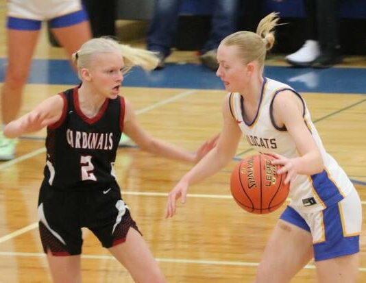 
			
				                                Langdon Area/Munichs Mya Swanson guards Benson Countys Aubrey Kenner. (Photo by Mojo Hill)
 
			
		
