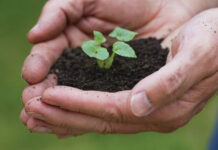 Ag Mag: The effects of soil degradation