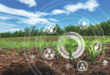 Cultivating agricultural innovation