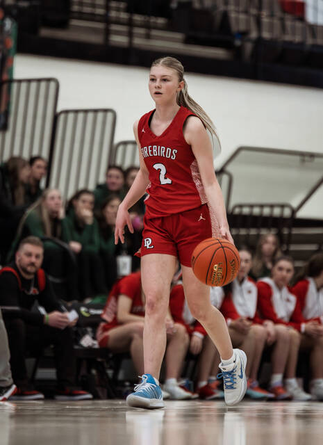 Devils Lake point guard Ava Beck looks down the court while getting ready to intitiate the offense. (Photo by Cameron Carlson)