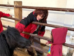 Horses that heal: Equine therapy rising in popularity