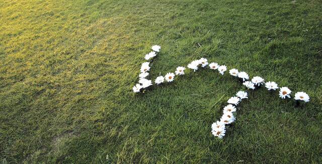 Early morning light illuminates flowers near the makeshift memorial to the massacre victims on the drill field of the Virginia Tech campus in Blacksburg, Va., Sunday, April 22, 2007. Student Seung-Hui Cho shot and killed 32 people before committing suicide on Monday, April 16, 2007.
                                 AP Photo/Charles Dharapak