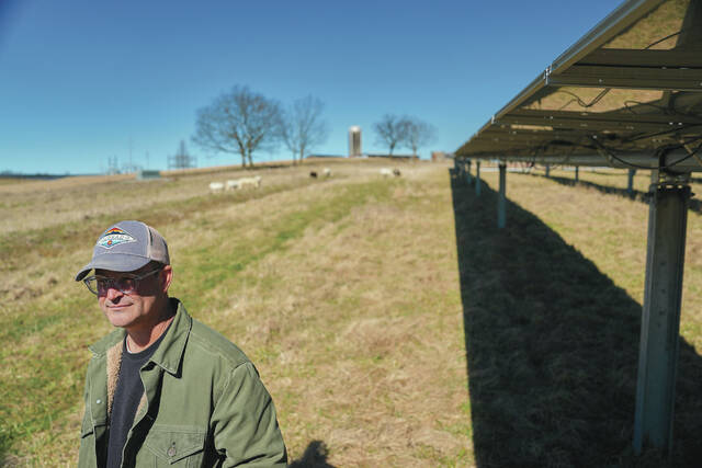 Daniel Bell watches his sheep graze Friday, Feb. 20, at a farm in Lancaster, Ky.
                                 AP Photo/Joshua A. Bickel