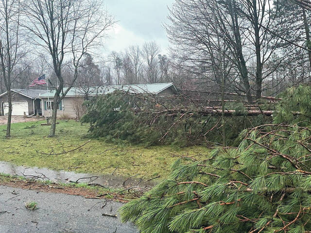 This photo provided by Kronenwetter Police Dept., shows damage to a house and fallen trees after severe weather passed the area on Friday, April 17, 2026 in Kronenwetter, Wis.
                                 Kronenwetter Police Chief Terry P. McHugh/Kronenwetter Police Dept. via AP