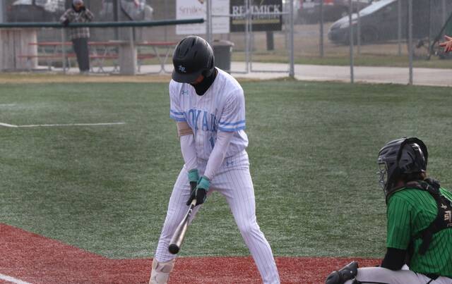Beau Brodina prepares to bat.
                                 Photo by Mojo Hill