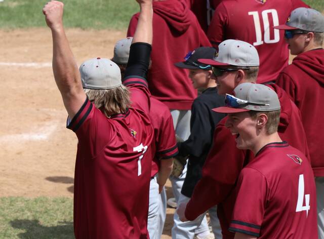 The Cardinals celebrate Sam Daviss game-tying home run in the seventh inning.
Photo by Mojo Hill