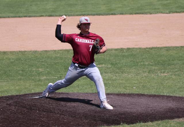 Theo Romfo delivers a pitch.
Photo by Mojo Hill