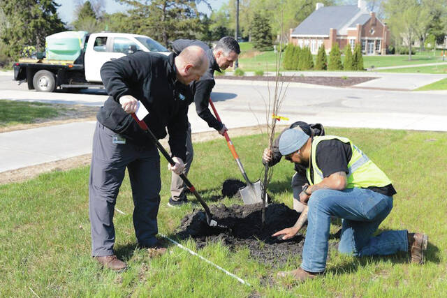 New trees take root at UND’s annual Arbor Day celebration