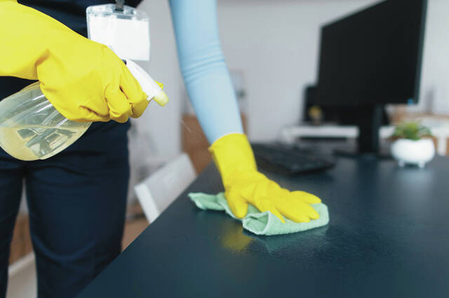 In the event of a mouse presence, wear rubber gloves and use a disinfectant to clean the area and inactivate bacteria.
                                 Pixabay photo