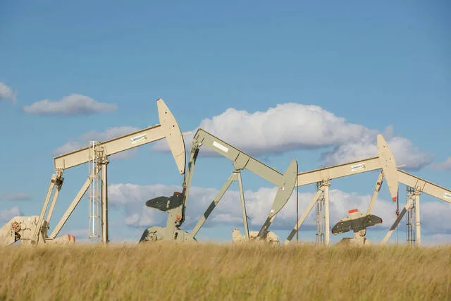 Oil pump jacks operate in Williams County, North Dakota, in September 2024.
                                 Photo by Kyle Martin/For the North Dakota Monitor
