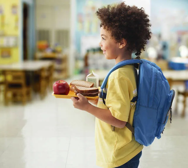 Devils Lake Public Schools Lunch Menu
