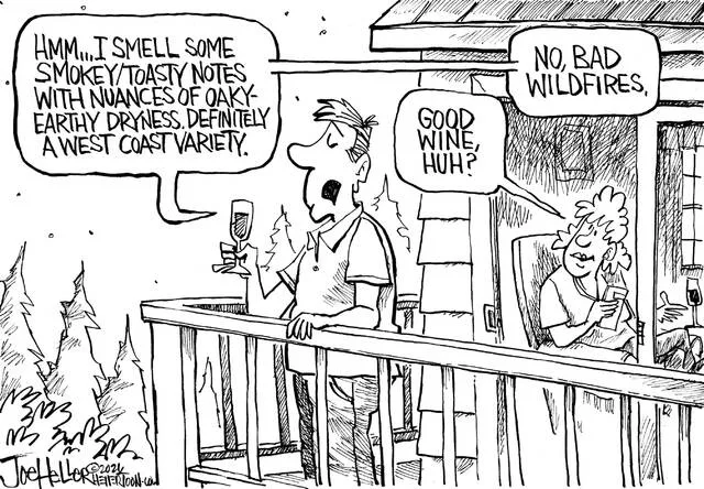 Editorial cartoons: ‘Western Wildfires’ & ‘TagTeam’