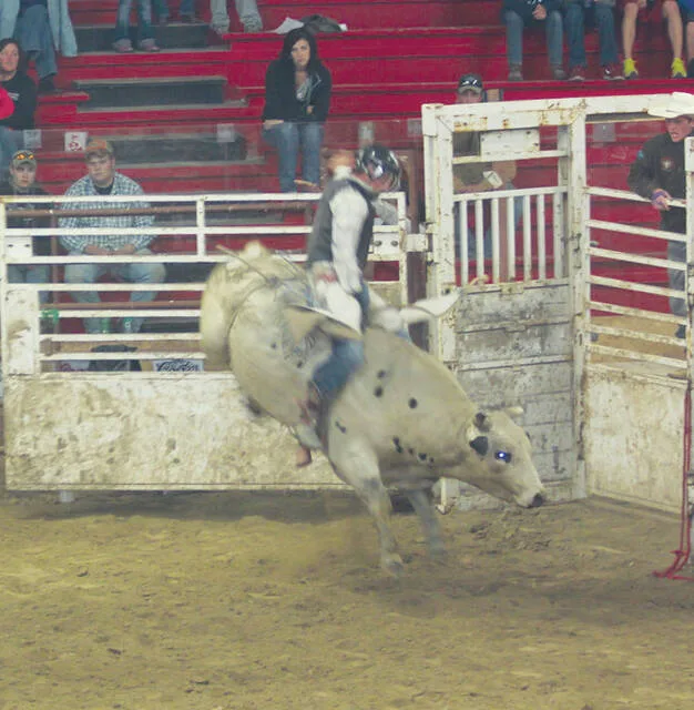 Scenes from previous Chute-Out Rodeos in Devils Lake.
                                 File photos