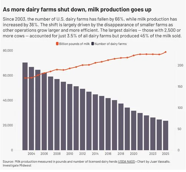 Milk production is up despite decades-long decline in US dairy farms