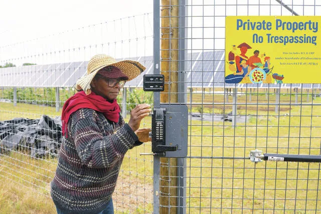 Minnesota agrivoltaics project shows promise of mixing farming, solar power
